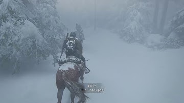 The Last Of Us Part 2 | New Game+ | Custom settings