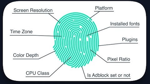 Unmasking Your Digital Fingerprint: How Hashemian’s Whoami Tool Reveals Your Online Identity