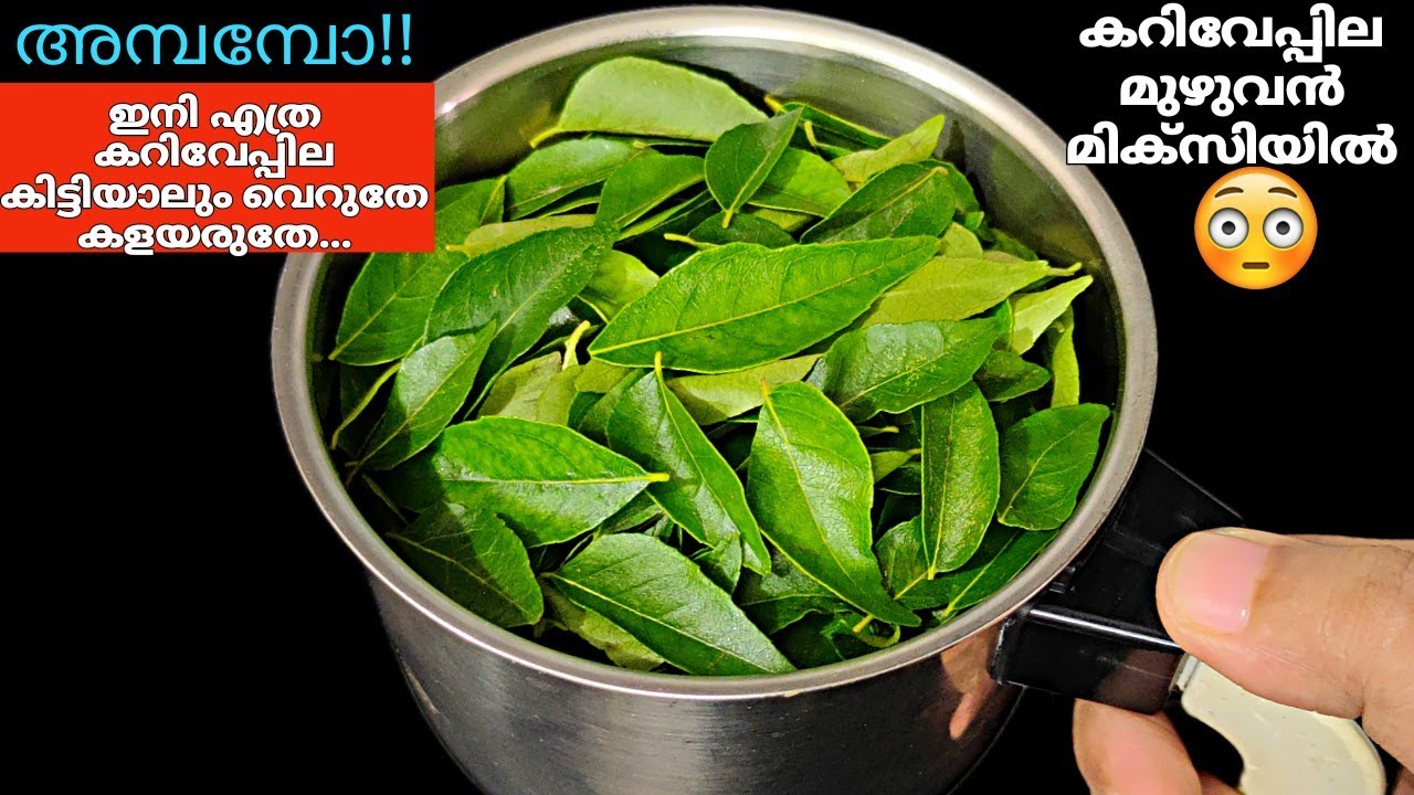 കറിവേപ്പില ഒരുപാട് ഉണ്ടായിട്ടും ഇങ്ങനെ ചെയ്തു നോക്കിയത് ആദ്യമായാണ് | Curry leaves Chutney powder