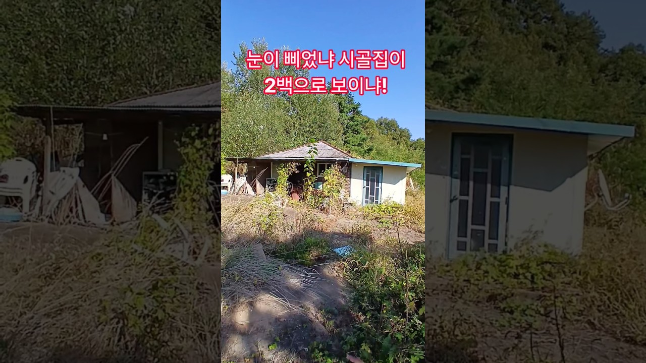 눈이 삐었냐 시골집이 2백으로 보이냐! 옛날집 여행 부동산 부자집 빈집 멋진산 오지마을 전원주택 골동품