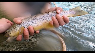 Rocking A Creek in PA