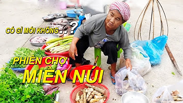 Nhộn Nhịp Phiện Chợ Miền Núi Mùa Nước Nổi Cá Đồng Rất Nhiều