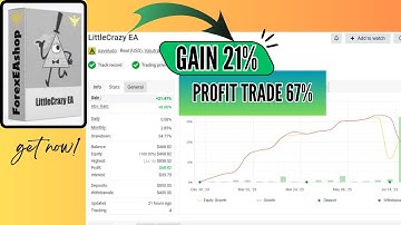 LittleCrazy EA MT4 v1.12 – Hybrid Grid + Scalping Forex Strategy Explained