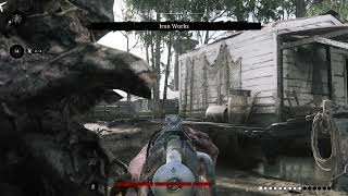 Hunt  Showdown through the fence, straight to the dome