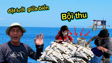 Bội thu đàn cá đối 30kg một ngày trải nghiệm trên căn chòi nhỏ giữa biển đặt lưới & săn bắt