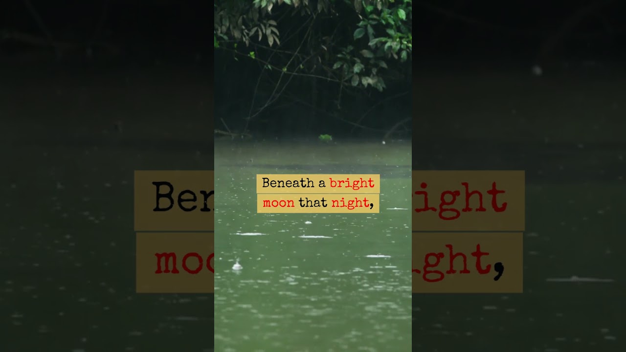 Devil Dogs vs Japanese Infantry: VICIOUS COMBAT at Tenaru, Guadalcanal