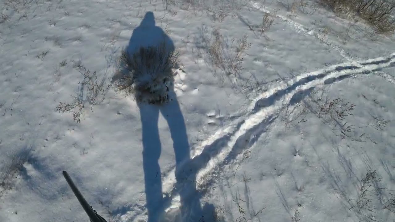 Охота на зайца и фазана