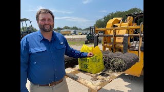 WATCH NOW: Orangeburg Super-Sod Farm Retail Manager Webb Porter talks about his role and experience