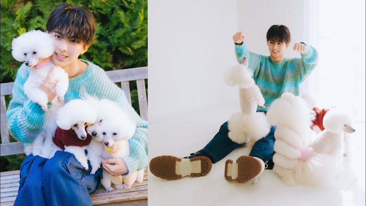 TAGRIGHT・岸波志音さんが愛犬たちを連れて遊びにきてくれました！（トイプードル｜月刊わんこ撮影オフショット）