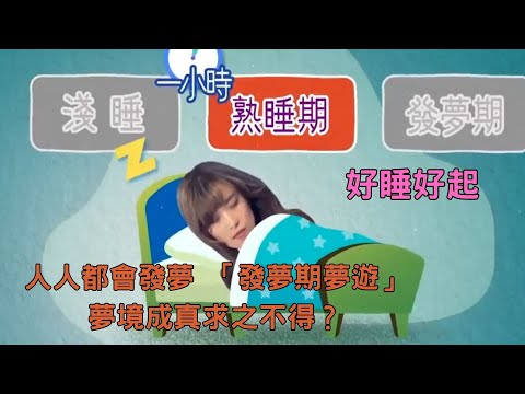 好睡好起 ｜人人都會發夢 「發夢期夢遊」夢境成真求之不得？