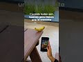 ¿Antojo de algo rico y saludable? 🌱