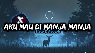 DJ Aku Mau Di Manja Manja - Slow & Reverb 🎧