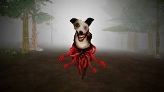 This Isn't My Dog.