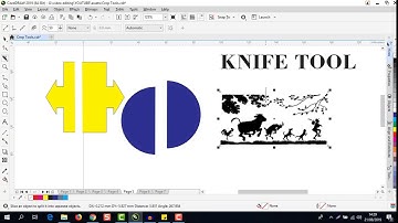 COREL DRAW GRAPHIC SUITE  LEARNING HOW TO USE CROP TOOLS