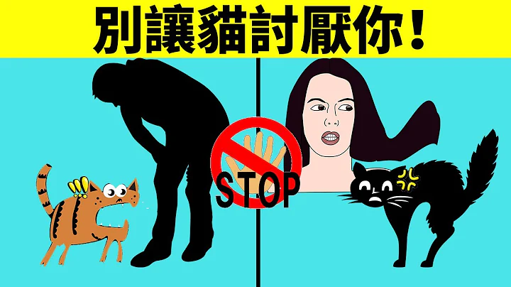 6個會讓貓討厭你的行為，你曾經做過幾個？ - 天天要聞