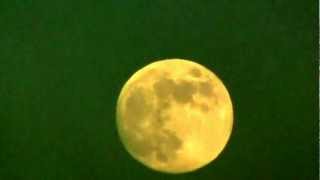 Full moon, high tide tonight in miami beach...
