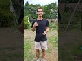 #proscootering #scooterride #scooterfreestyle ##scootering #proscooters #scooter #scootertricks