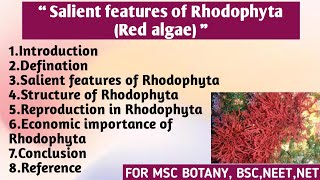 Salient features of Rhodophyta | Structure | Reproduction | Economic importance | Rhodophyta