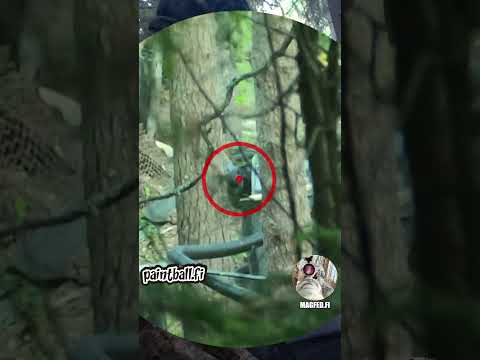 Trying to shoot thru trees - Magfed Paintball #shorts