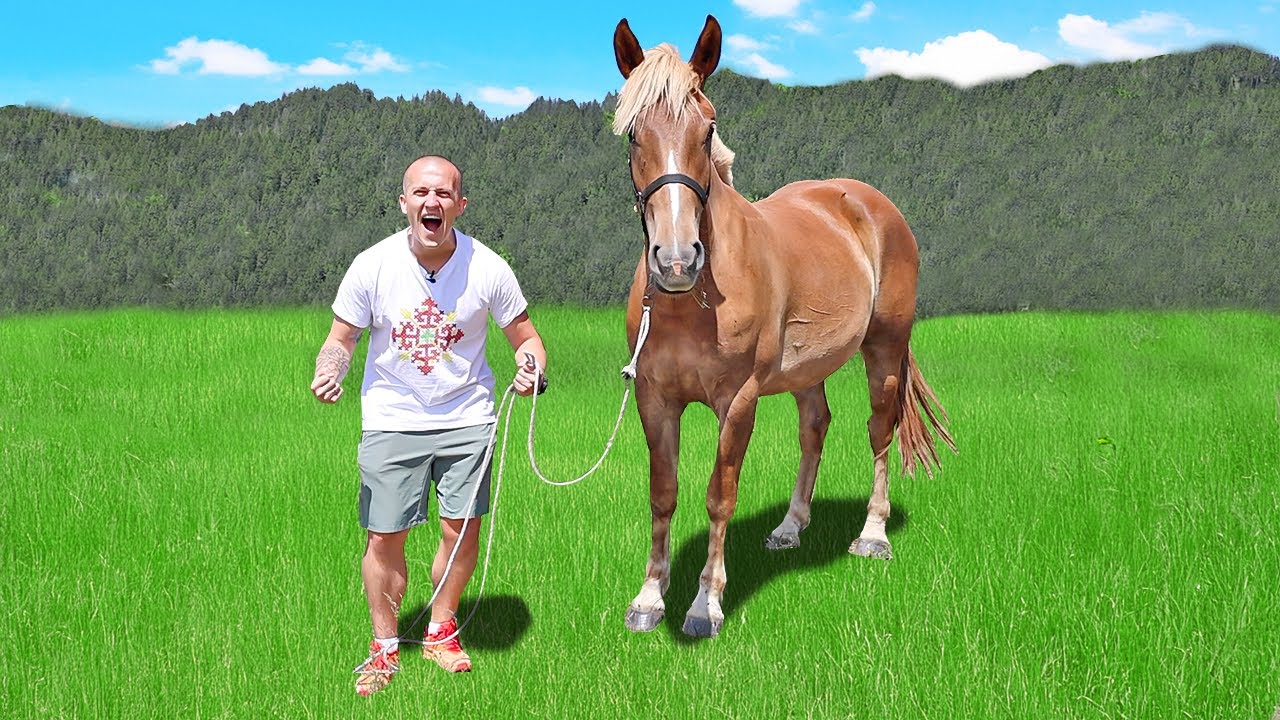 КУПИХ СИ КОН