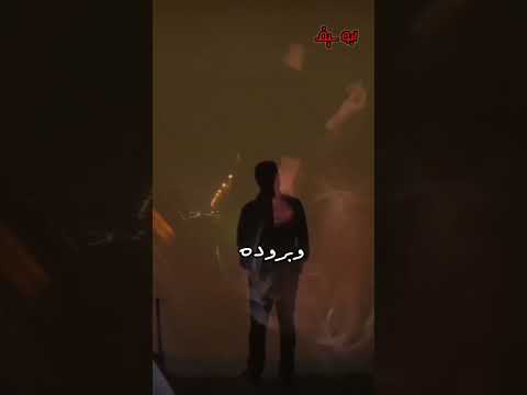 محمد المدلول