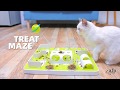 Video: AFP Παιχνίδι Γάτας Interactive Treat Maze 27x27x5.5cm