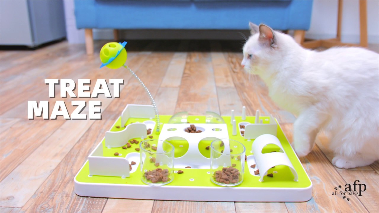 Cat Treat Maze 