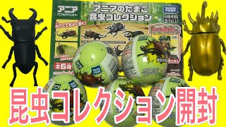 【昆虫コレクション】アニアの卵昆虫コレクションを開封したよ