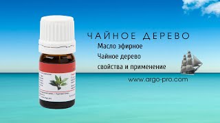 Масло эфирное Чайное дерево свойства и применение Масло эфирное Чайное дерево свойства и применение