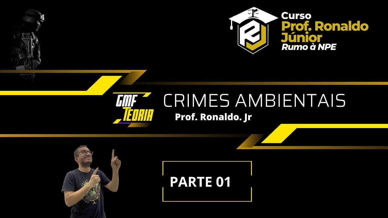 lei-dos-crimes-ambientais-esquematizada-lei-9605-prof-ronaldo-jr