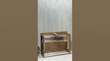 #mousetrap home mouse trapbest mouse trap idea #mousetrap2022 #mousetrap #rattrap #rat#2437