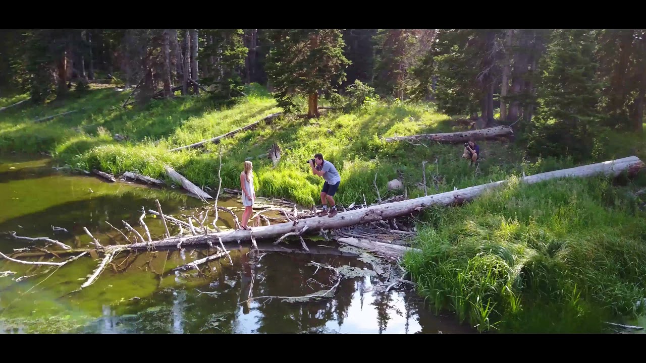 Magna Vista Productions Website Cover