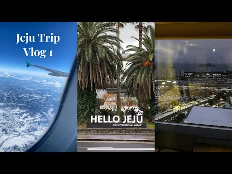 [한글자막] 濟州島旅行 Vlog 1🍊聖誕節旅行 ⛄️與韓國男友慶祝我們一起度過的第一個聖誕