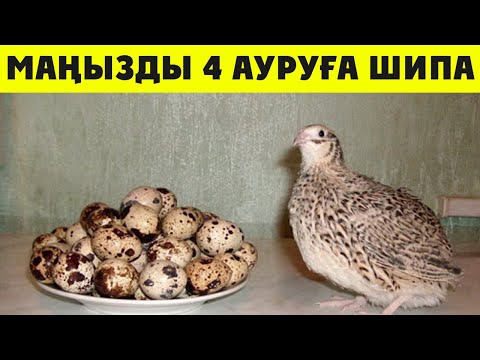 Әдемі қыздар жыныстық қатынасқа түсуді қалайды