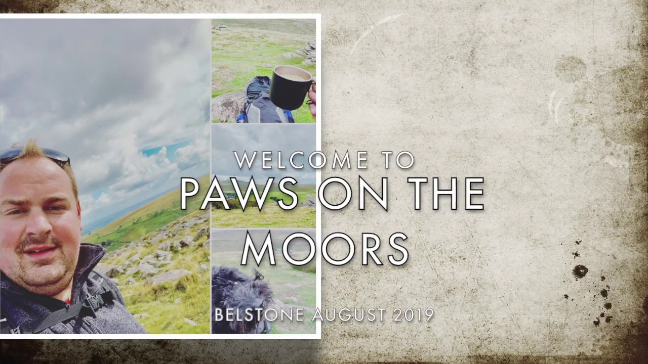 Belstone, Oke & Higher Tors Walk | Dartmoor