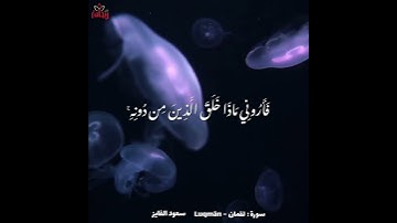 "هذا خلق الله" #سعود_الفايز #ريحانة_قرآن #سورة_لقمان