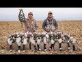 5 man limit duck and goose field hunt bonus specklebelly goose