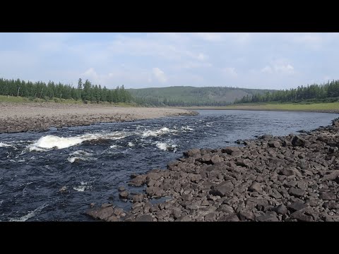 Video: Vilyuy is a river in Yakutia. Tributaries of the Vilyuy River. A photo