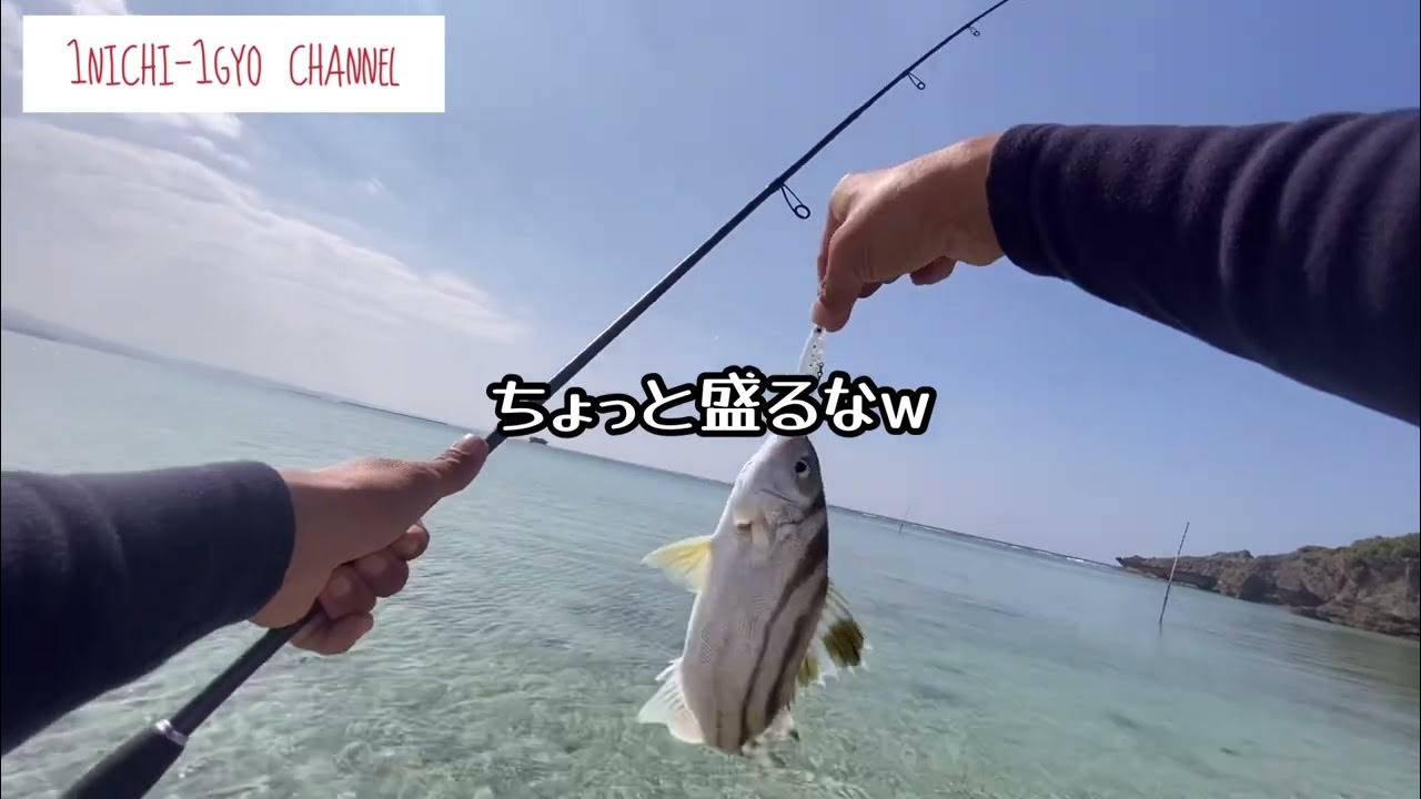 日曜日の午後にマッタリ小物釣り[沖縄ルアー釣り]