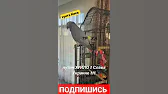 ХУНТА КИЕВ