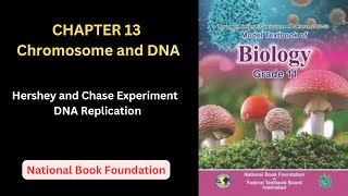 Hershey And Chase Experiment Dna Replication Cl 11 Biology Chapter 13National Book Foundation