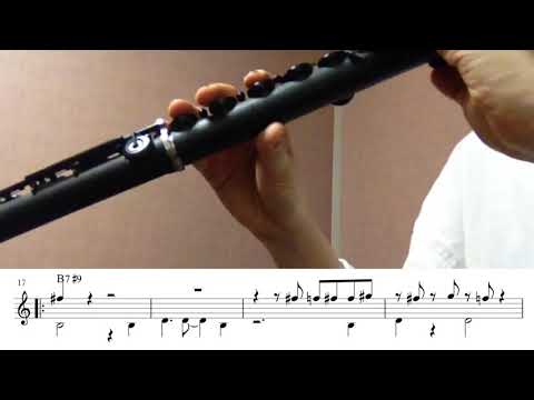 Hide And Seek (Flute Version) - Joshua Redman