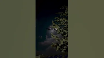 شين الحمس البعد يا شينه بس وينه زايد بن سابر زايد سابر البزنس السعودية بدون موسيقى 