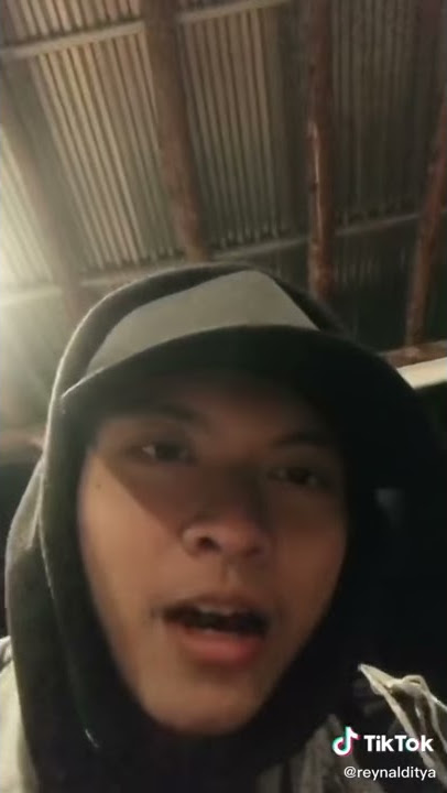 Reynaldi tiktok(3)