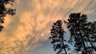 Beautiful mammatus clouds after a storm