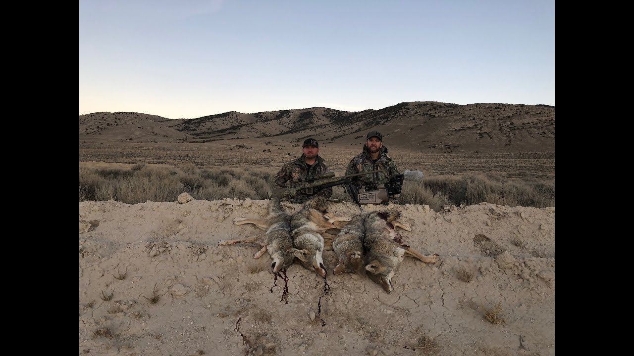 coyote-tour-day-1-it-begins-youtube