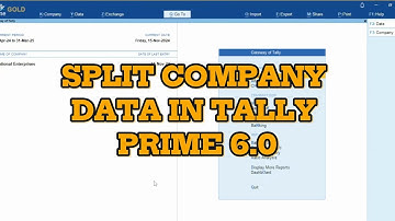 Tally Prime 6.0 में Company Data कैसे Split करें | Tally Prime 6.0