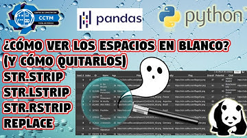 👻+🐼 ¿Cómo ver los espacios en blanco…y cómo quitarlos? | Dataframe |Pandas|Python | Pandas