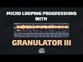 Micro Looping Chord Progressions with Granulator III | Side Brain's Study Group