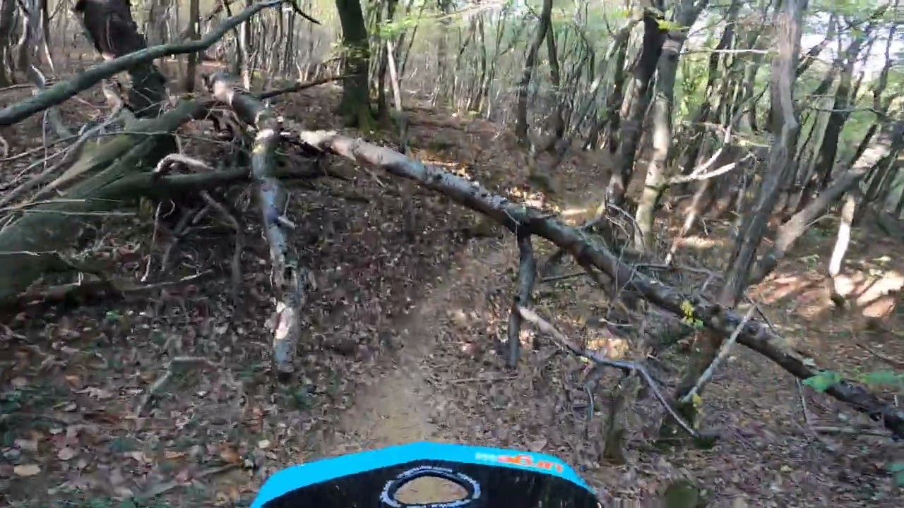 mtb trail 